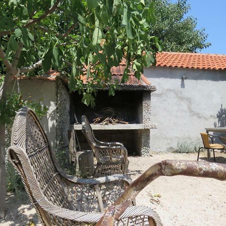 Guesthouse Dila Galovac  Exterior foto